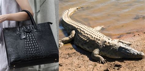 does louis vuitton use animal skin|Louis Vuitton animal welfare.